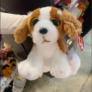 Meet your Posher, Colleen